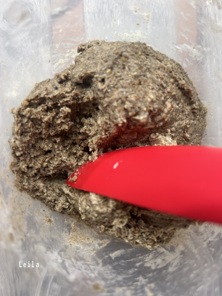 202510051403levain épicé à point.jpeg